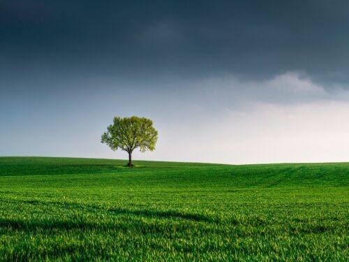 Controle-Environnement